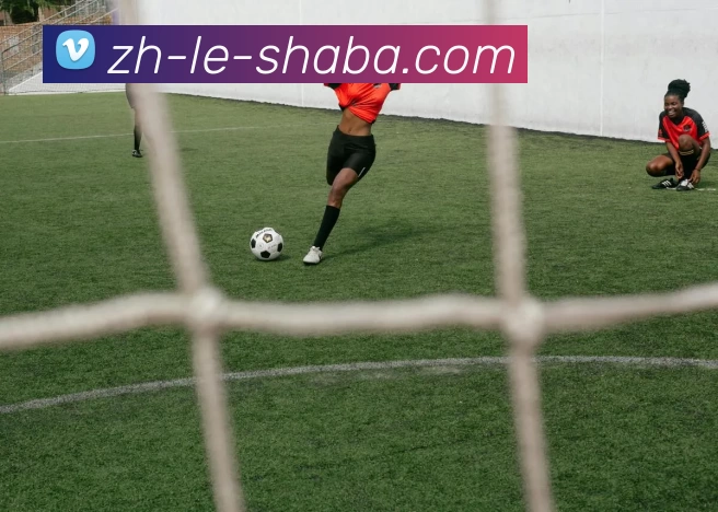 沙巴官方网站服务体系